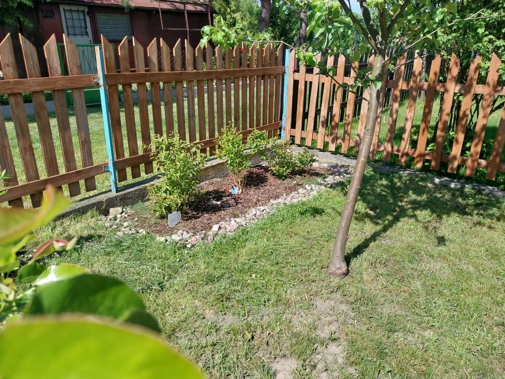 Działka rod Żyrardów. Zdjęcie 7