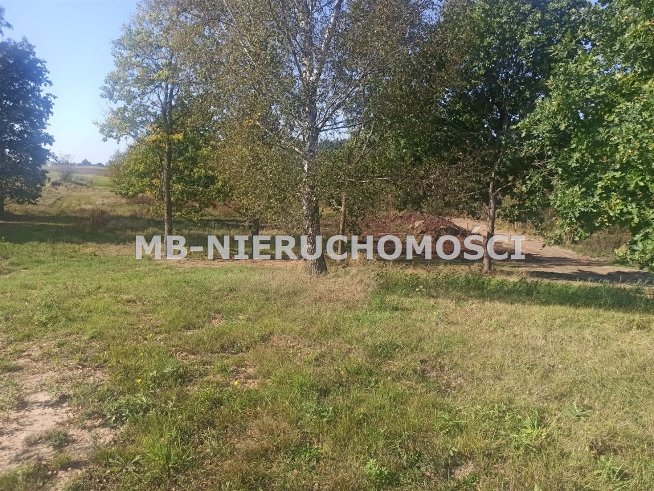 Działka rolna Ługwałd. Zdjęcie 4