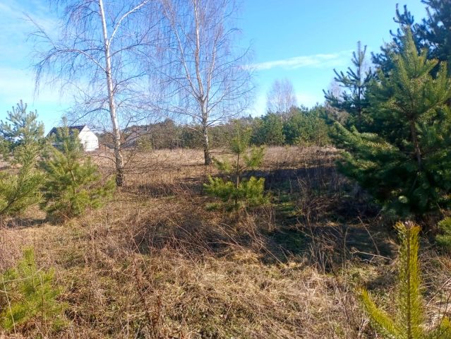 Działka budowlana Stronno, ul. Skowronkowa. Zdjęcie 1