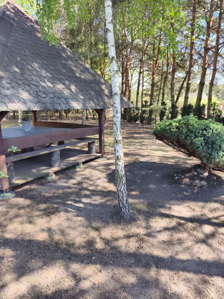 Działka rekreacyjna Zambski Kościelne, Leśna. Zdjęcie 3