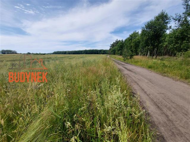 Działka budowlana Boryszewo. Zdjęcie 3