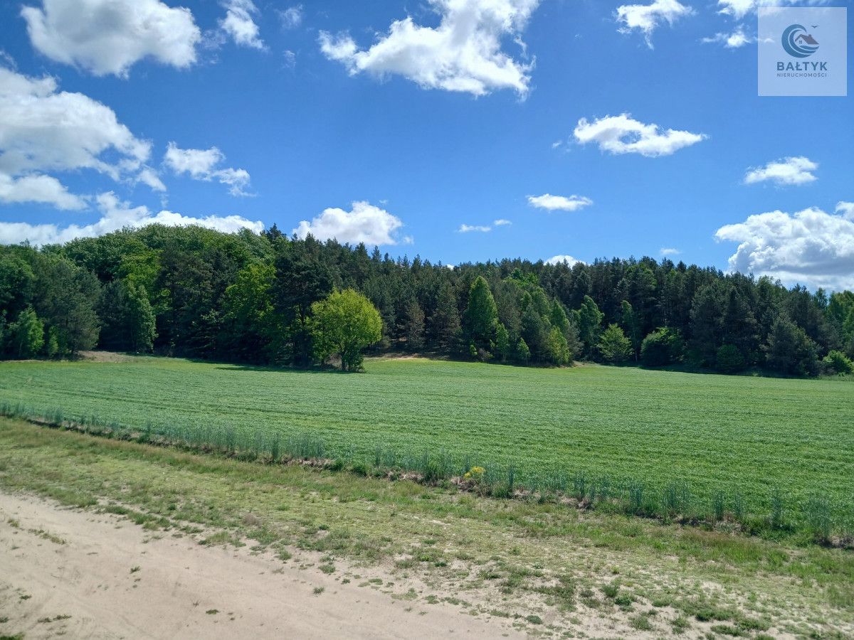 dom wolnostojący, 4 pokoje Zelewo. Zdjęcie 5