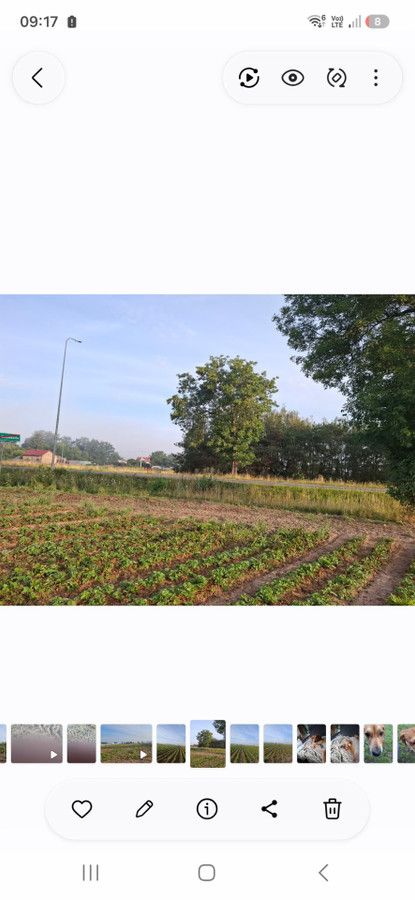 Działka rolna Wygoda Smoszewska. Zdjęcie 2