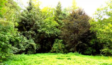 Działka budowlana Grzegorzewice, ul. Pałacowa. Zdjęcie 1