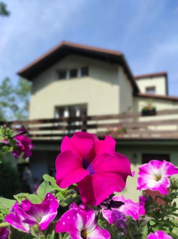 dom wolnostojący, 7 pokoi Gdynia Grabówek, ul. Stanisława Wąsowicza. Zdjęcie 1