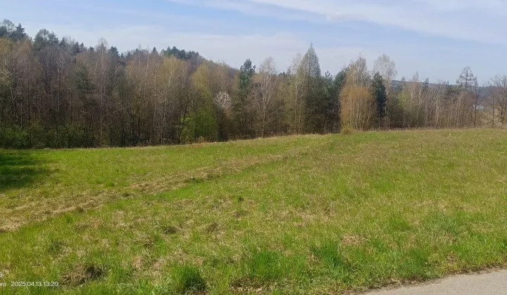 Działka rekreacyjna Brzezowa