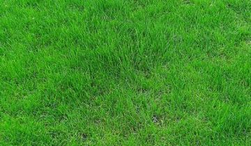 Działka budowlana Rożnów Radajowice