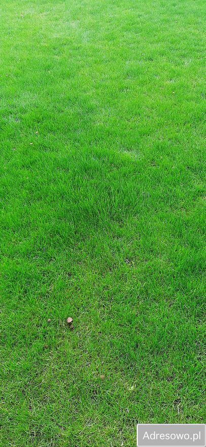 Działka budowlana Rożnów Radajowice. Zdjęcie 2