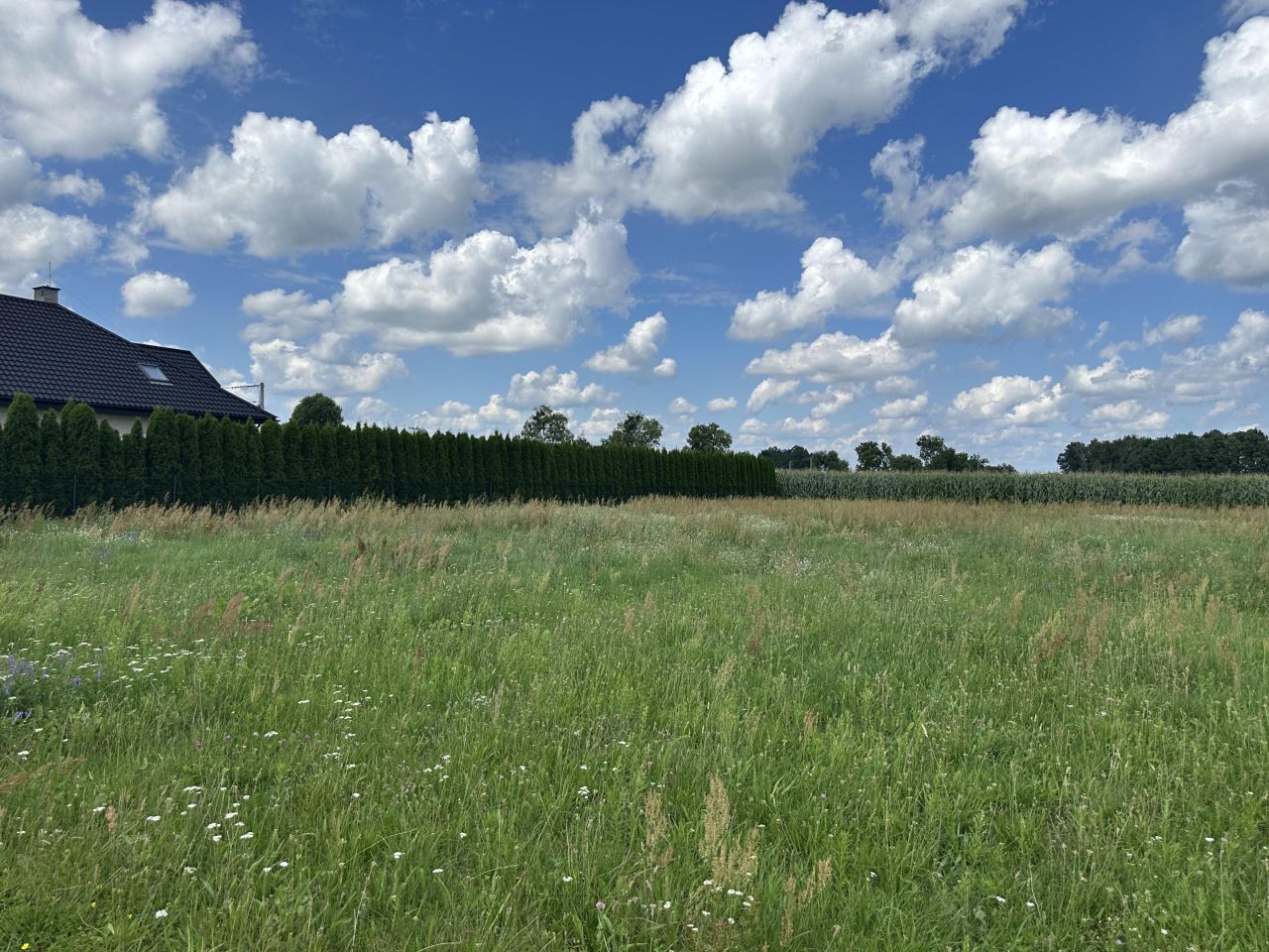 Działka budowlana Czarnowiec, ul. Błękitna. Zdjęcie 7