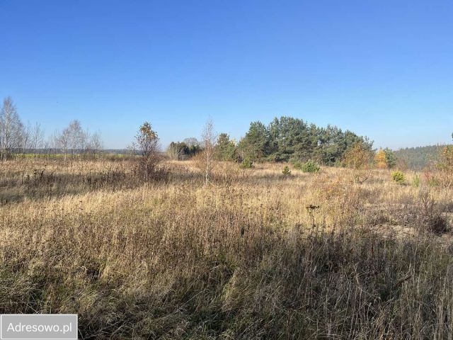 Działka budowlana Słosinko. Zdjęcie 1