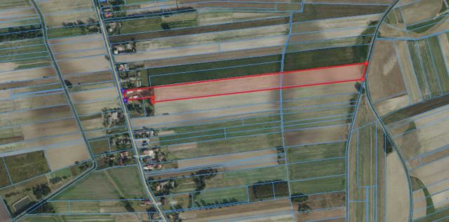 gospodarstwo Dąbrówka Osuchowska Podlesie. Zdjęcie 1