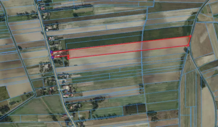 gospodarstwo Dąbrówka Osuchowska Podlesie