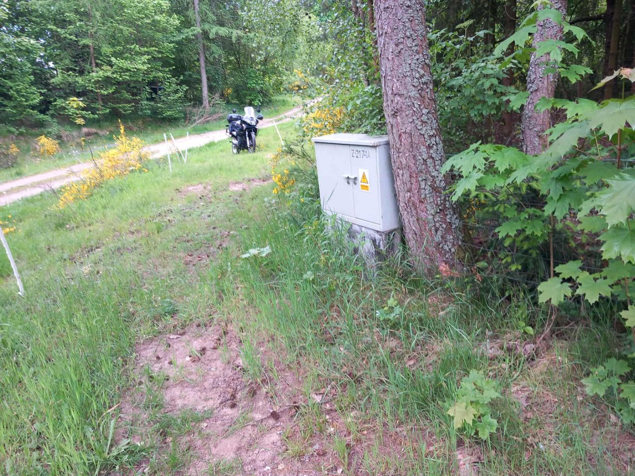 Działka inwestycyjna Borek Kamienny. Zdjęcie 6