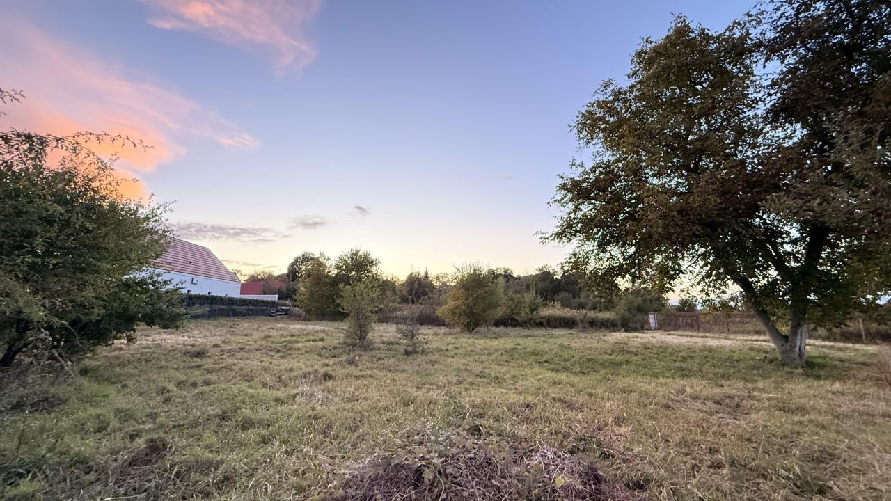 Działka budowlana Zabrodzie. Zdjęcie 8