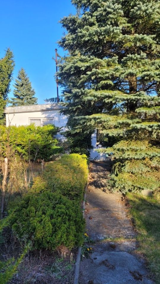 Działka rod Bydgoszcz. Zdjęcie 2