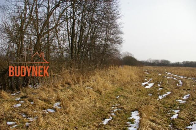Działka rolna Malechowo. Zdjęcie 12