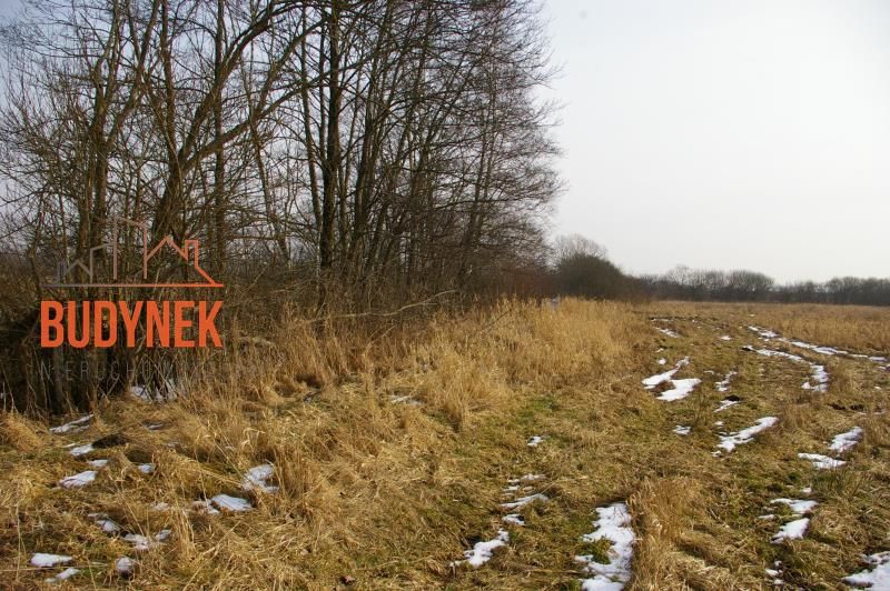 Działka rolna Malechowo. Zdjęcie 12