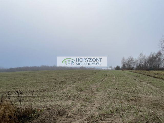 Działka budowlana Dobrzewino. Zdjęcie 3