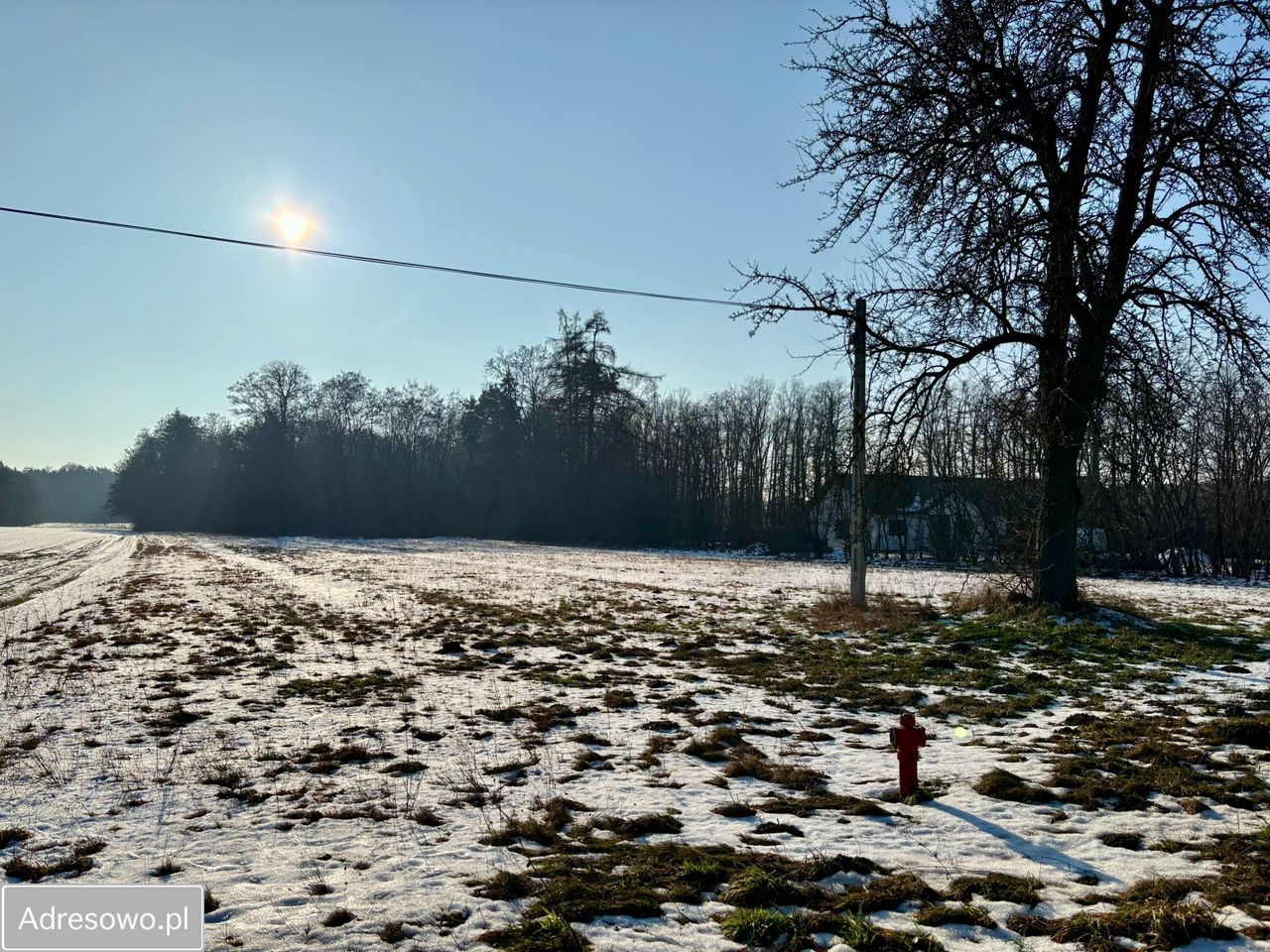 Działka budowlana Orła. Zdjęcie 3