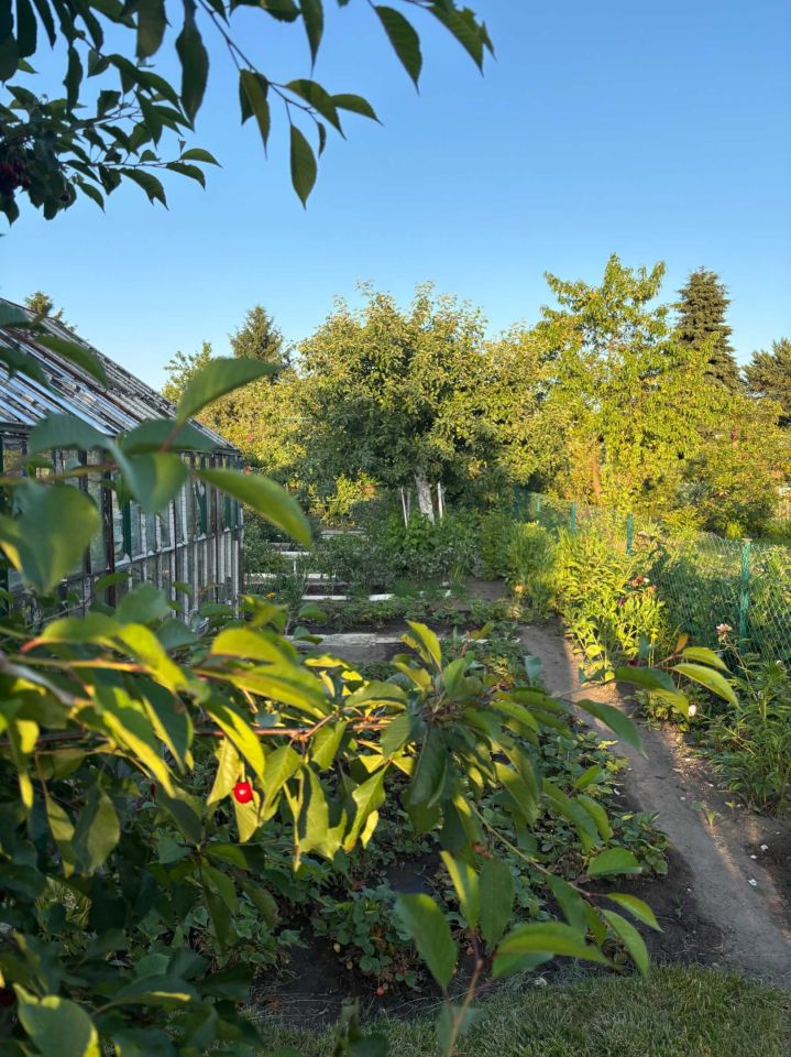 Działka rod Wrocław Brochów. Zdjęcie 8