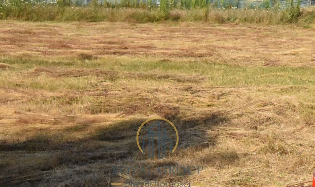 Działka siedliskowa Siedliska. Zdjęcie 6