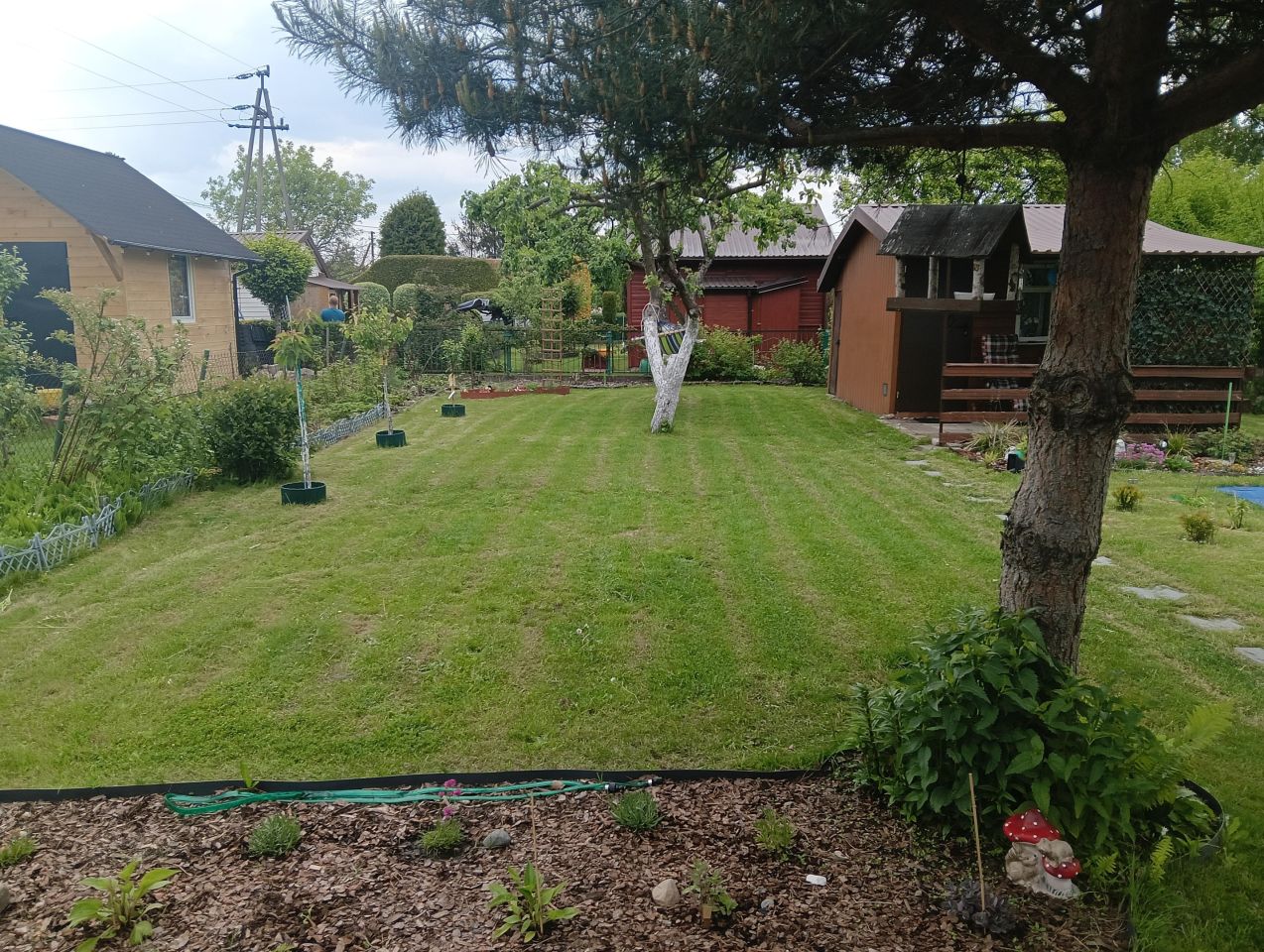 Działka rekreacyjna Siedlce Piaski Zamiejskie