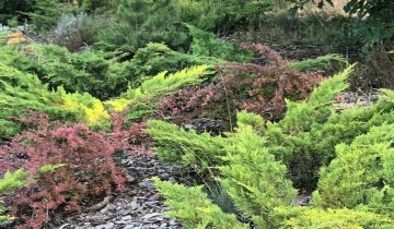 dom wolnostojący, 5 pokoi Rozgarty, ul. Zielona Polana