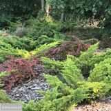 dom wolnostojący, 5 pokoi Rozgarty, ul. Zielona Polana. Zdjęcie 1