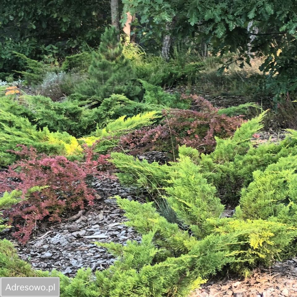 dom wolnostojący, 5 pokoi Rozgarty, ul. Zielona Polana. Zdjęcie 2