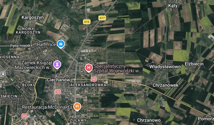 Działka rod Ciechanów, ul. Opinogórska