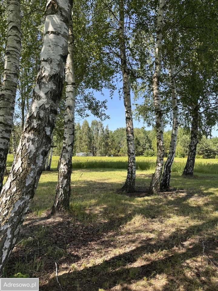 Działka budowlana Natolin. Zdjęcie 2