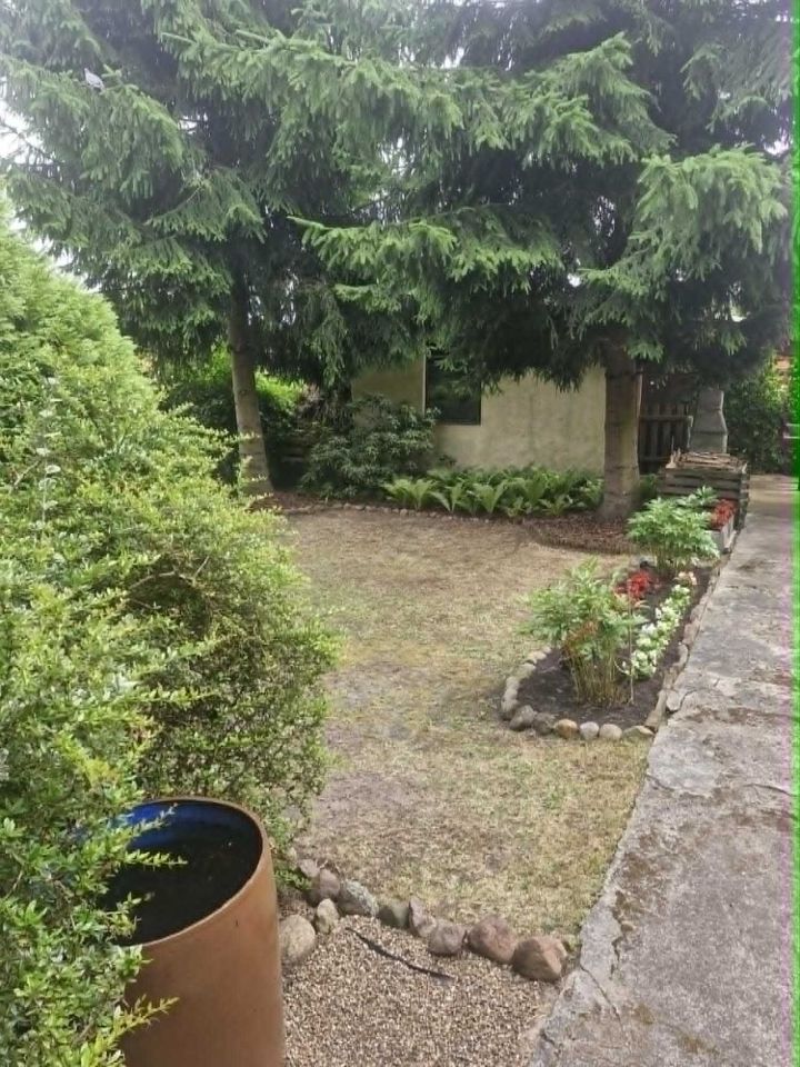 Działka rod Toruń. Zdjęcie 7