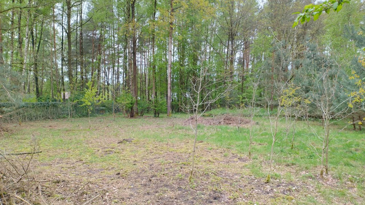 Działka budowlana Zofiówka, ul. Cmentarna. Zdjęcie 9