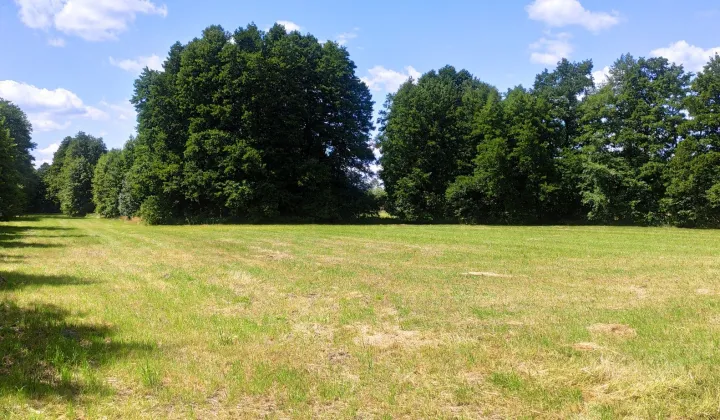 Działka inna Chwalęcice, ul. Topolowa