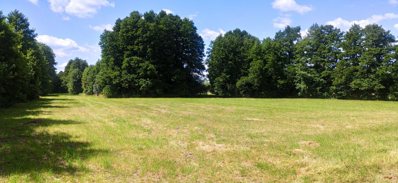 Działka rolna Chwalęcice, ul. Topolowa