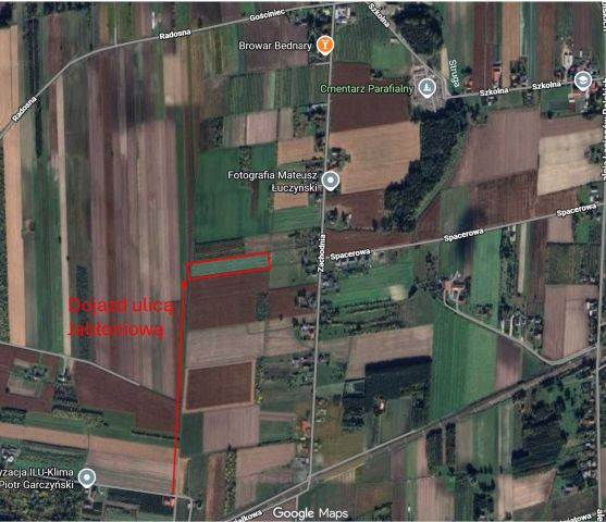 Działka rolna Bednary. Zdjęcie 1