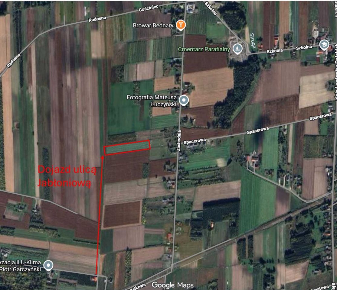 Działka rolna Bednary. Zdjęcie 1