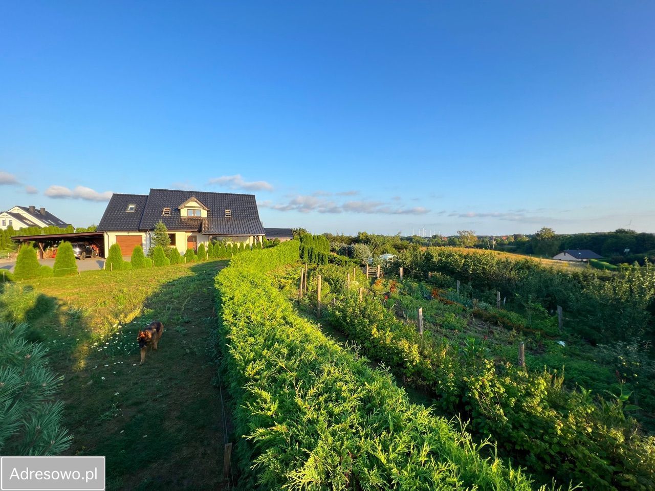 dom wolnostojący, 5 pokoi Resko. Zdjęcie 13