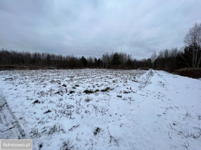 Działka budowlana Górki, ul. Graniczna. Zdjęcie 1