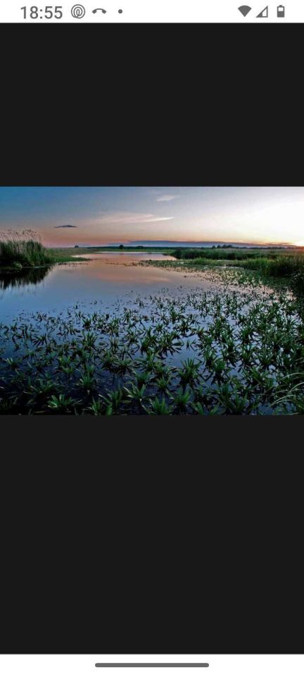Działka rolno-budowlana Radule. Zdjęcie 3