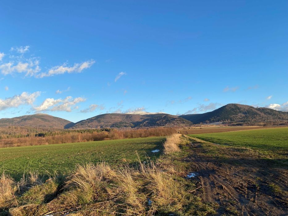 Działka budowlana Jaworek. Zdjęcie 2