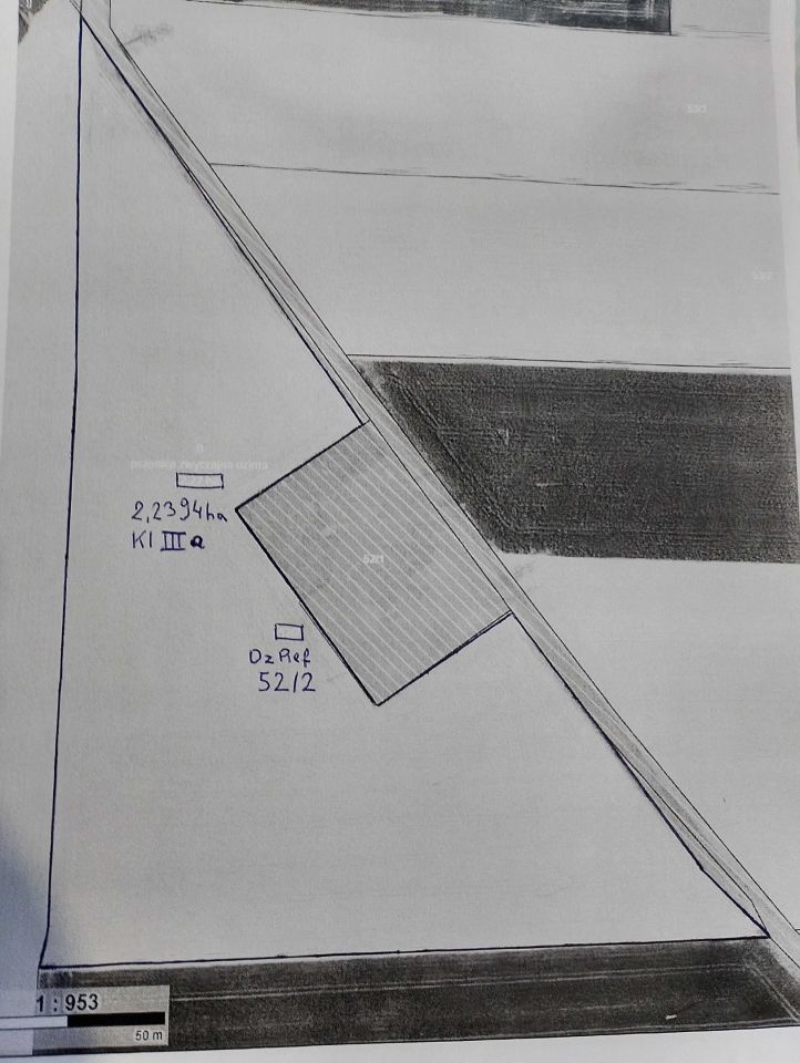 Działka rolna Kuczwały. Zdjęcie 2