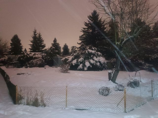 Działka rod Poznań Ławica, ul. Bukowska. Zdjęcie 1