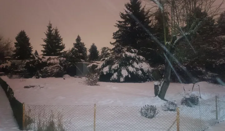 Działka rod Poznań Ławica, ul. Bukowska