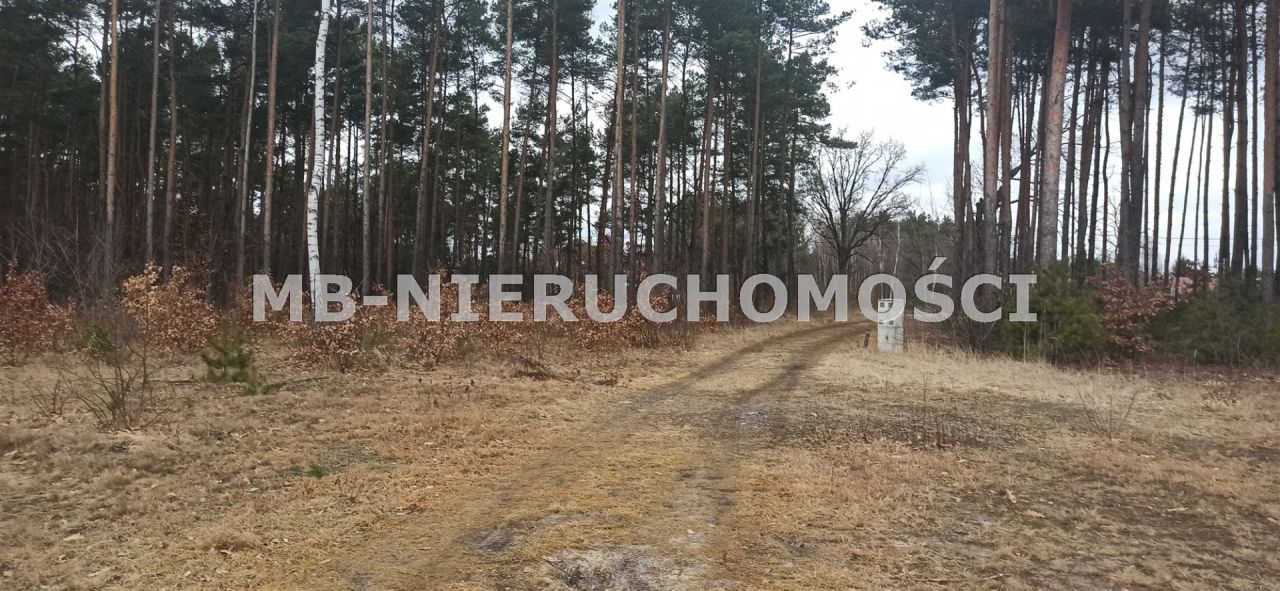 Działka budowlana Zakręt. Zdjęcie 2