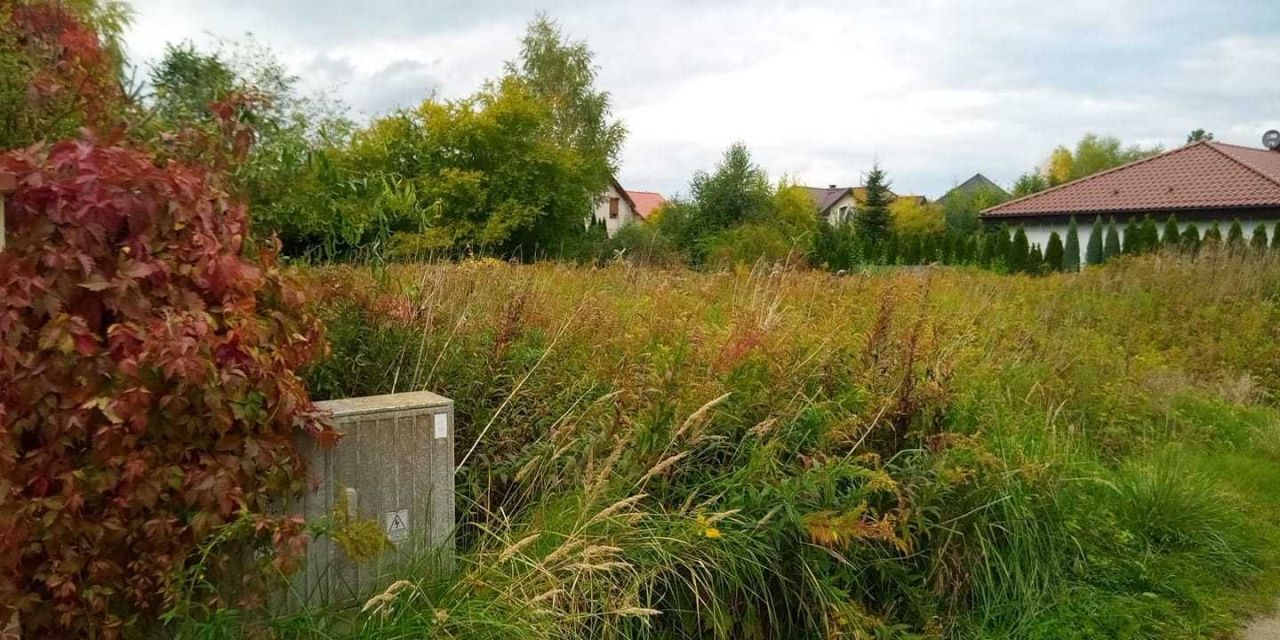 Działka budowlana Wilkszyn, ul. Wiosenna. Zdjęcie 2