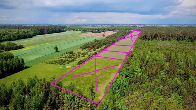 Działka siedliskowa Orzechówka. Zdjęcie 8