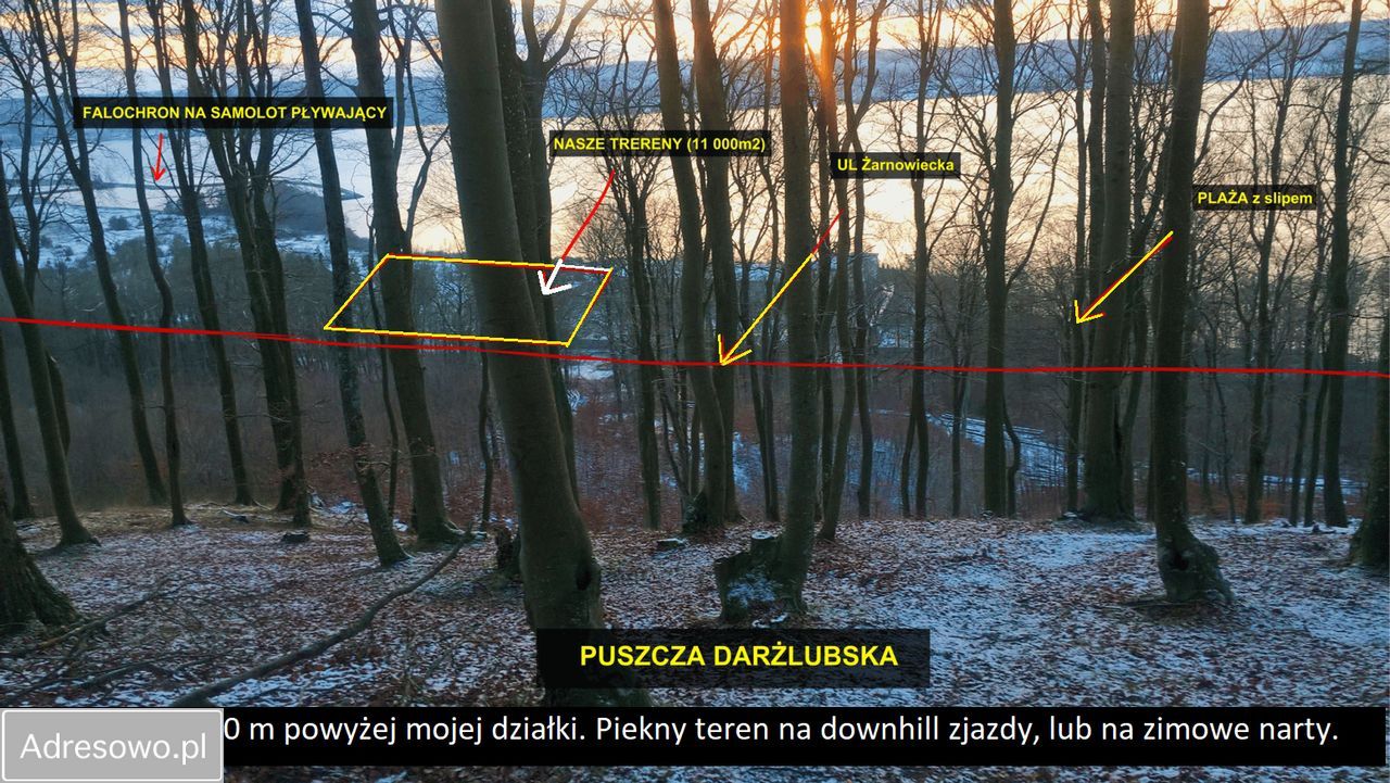Działka inwestycyjna Lubkowo. Zdjęcie 6