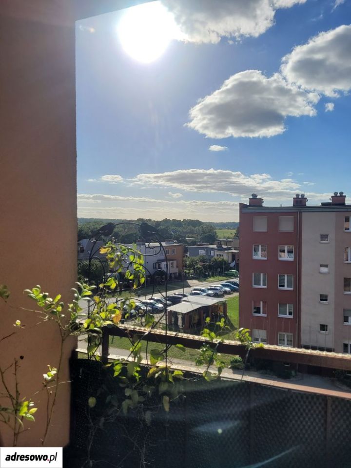 Mieszkanie 2-pokojowe Żary, ul. Męczenników Oświęcimskich. Zdjęcie 16