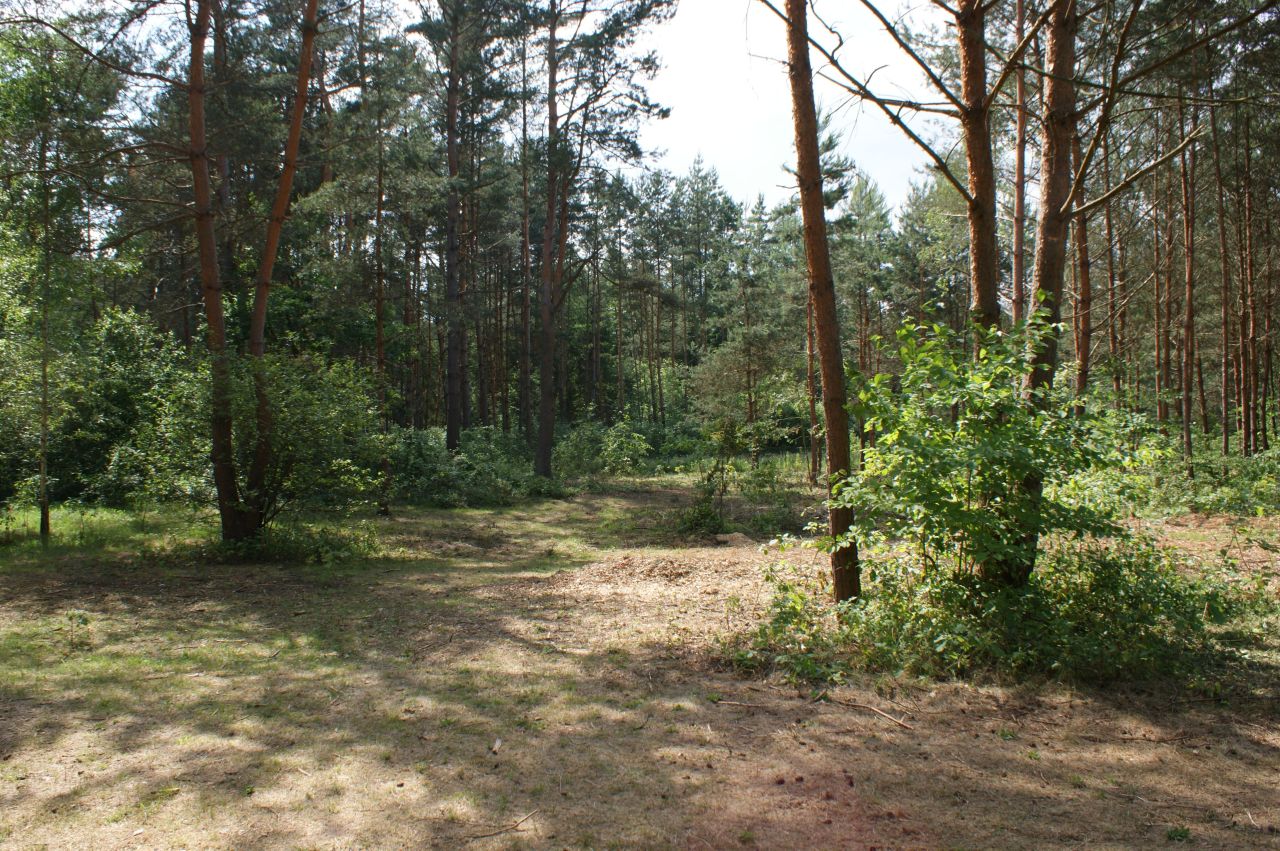 Działka rekreacyjna Czerwona Wola Myszkówka. Zdjęcie 15